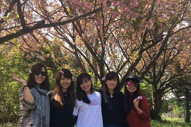 3 Days Private Taxi Tour in Jeju Island - Related Tours and Services