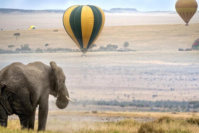 3 Days Private Tour in Maasai Mara - Accommodation and Dining Experiences