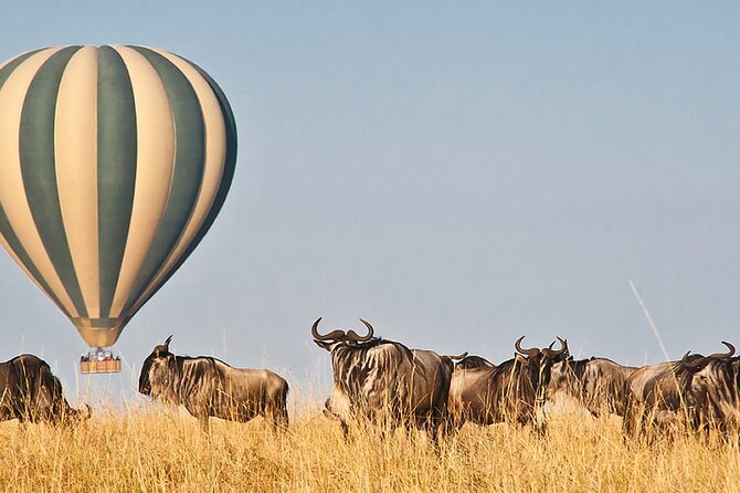 3 Days Private Tour in Maasai Mara - Included Activities and Exclusions
