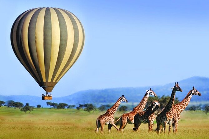 3 Days Private Tour in Maasai Mara - Pickup and Start Time Details