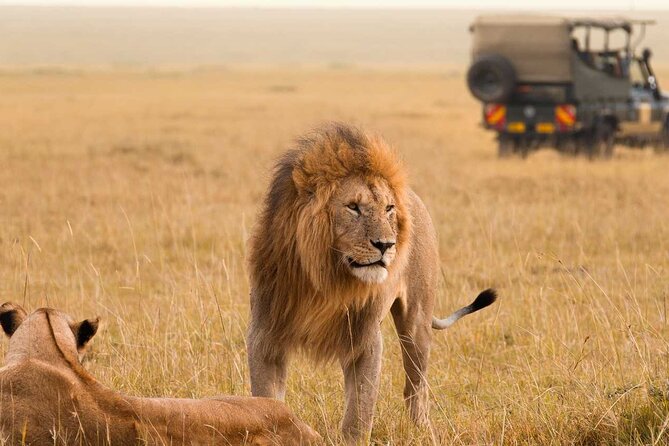 3 Days Private Tour in Maasai Mara - Tour Accessibility and Cancellation