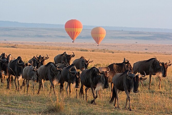 3 Days Private Tour in Maasai Mara - Tour Pricing and Guarantee