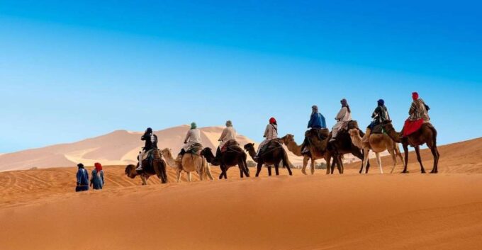 3 Days Private Tour Marrakech to Fes via Merzouga Desert - Customer Feedback