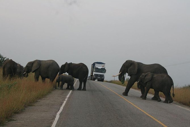 3 Days Queen Elizabeth National Park Uganda Safari - Trip Itinerary