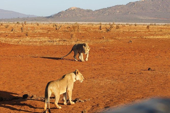 3 Days Red Elephant Safari - Key Points