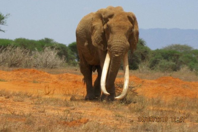 3 Days Red Elephant Safari - Expectations and Accessibility