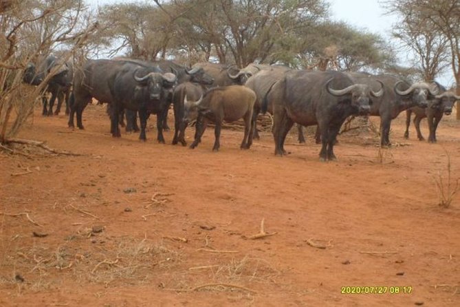 3 Days Red Elephant Safari - Wildlife Highlights