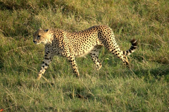 3 Days Red Elephant Safari - Itinerary