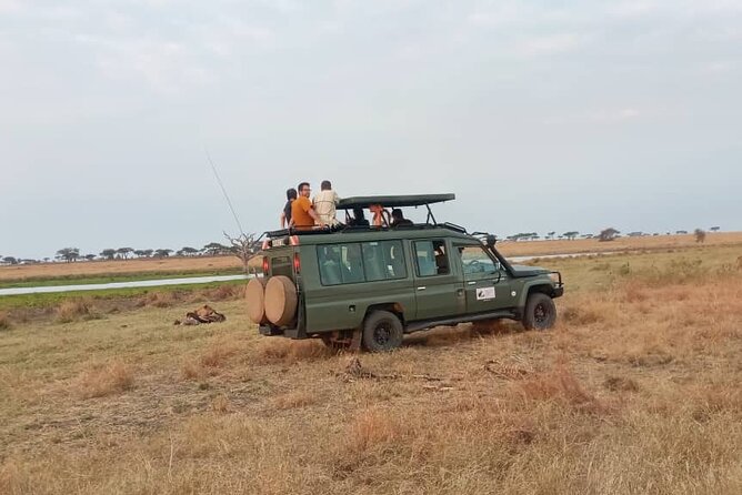 3 Days Safari From Mwanza Serengeti Ngorongoro to Arusha - Accessibility and Participation