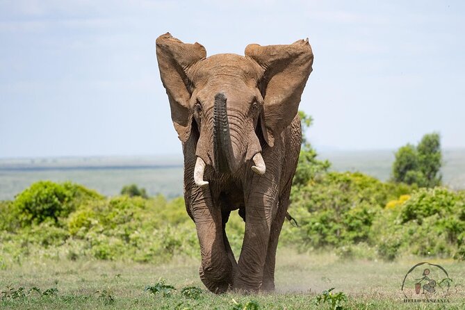 3 Days Safari in North- Ngorongoro, Tarangire, Mt. Oldeani - Booking Details