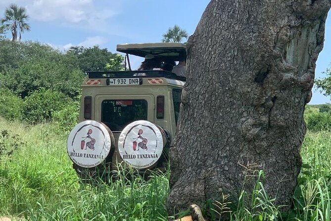 3 Days Safari in North- Ngorongoro, Tarangire, Mt. Oldeani - Destination Highlights