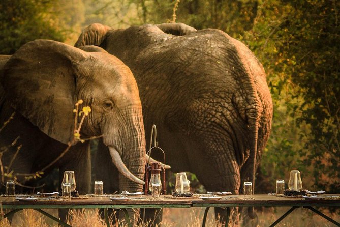 3 Days Safari - Mikumi National Park - Key Points
