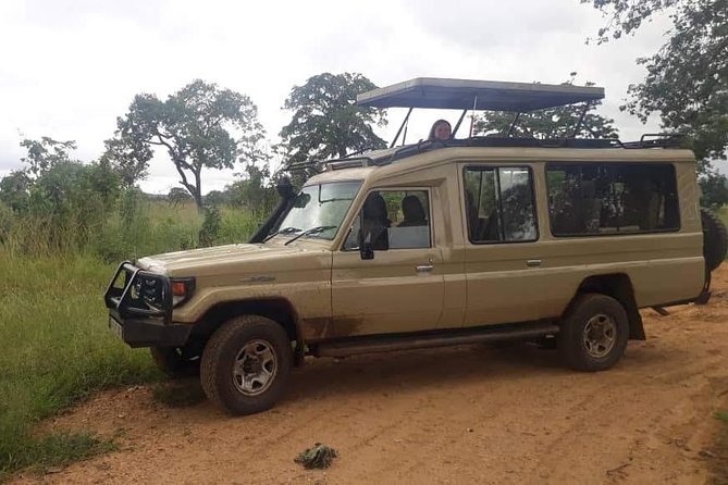 3 Days Safari - Mikumi National Park - Safari Vehicle and Guide