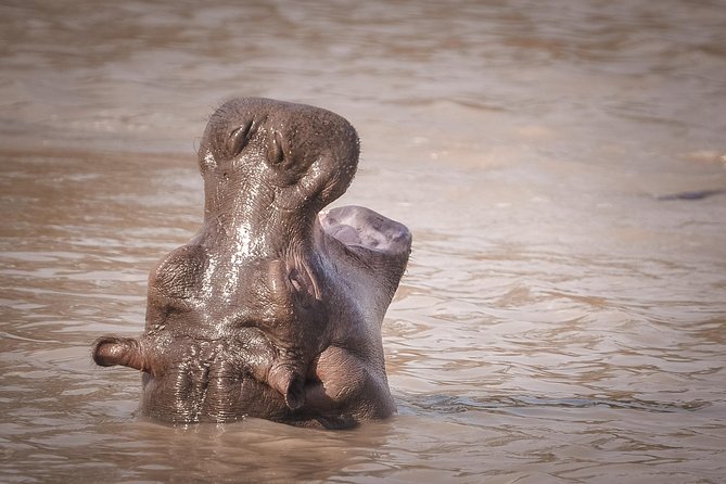 3 Days Safari - Mikumi National Park - Transportation and Pickup