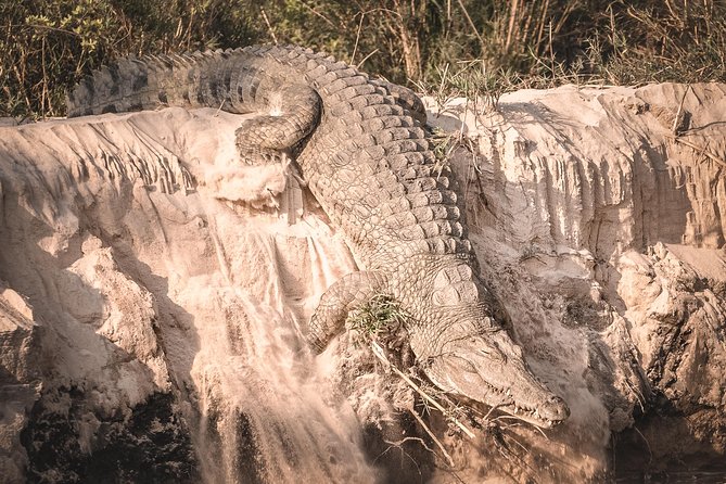 3 Days Safari - Mikumi National Park - Additional Considerations