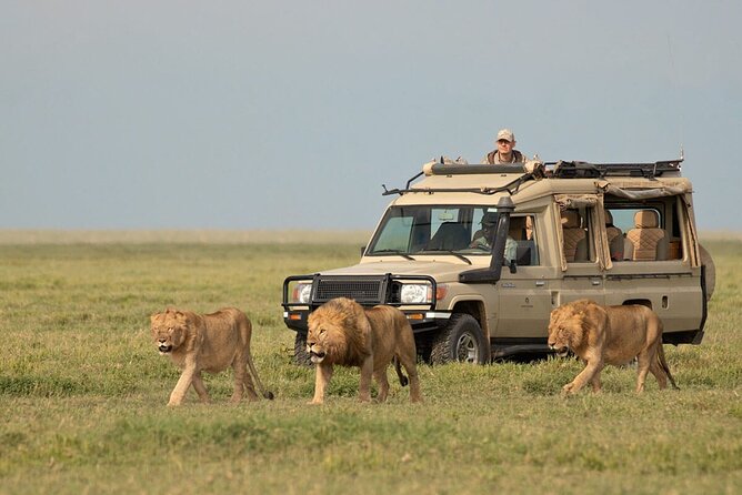3 Days Safari Ngorongoro Crater and Serengeti National Park - Pickup Information