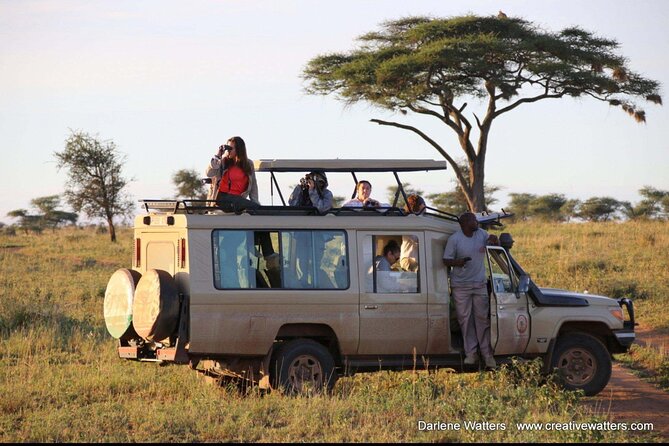 3 Days Safari Ngorongoro Crater and Serengeti National Park - Participation Conditions