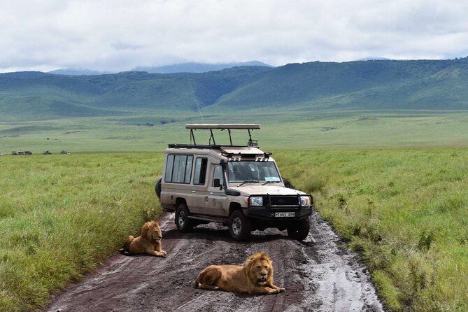 3 Days Safari Ngorongoro Crater and Serengeti National Park - Booking Information