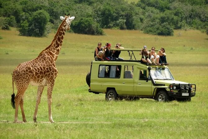 3 Days Safari Ngorongoro Crater and Serengeti National Park - Ngorongoro Crater Highlights