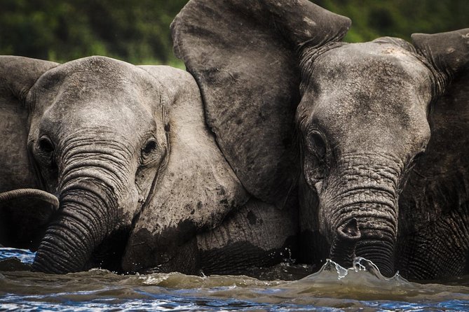 3 Days Safari - Selous Game Reserve - Inclusions