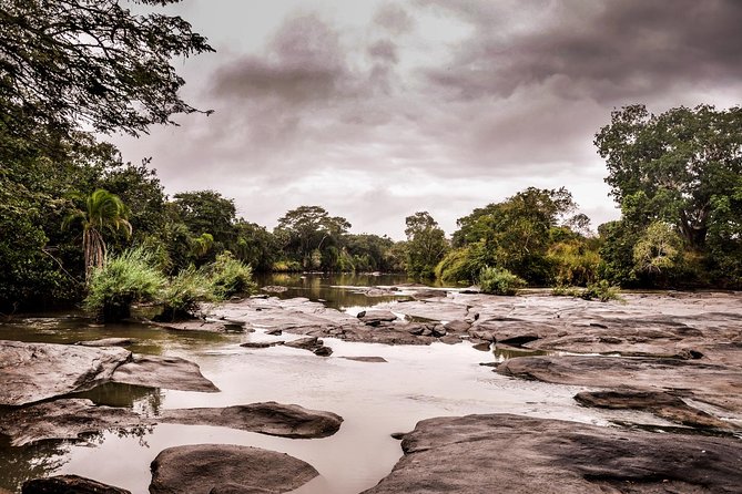 3 Days Safari - Selous Game Reserve - Meeting and Pickup