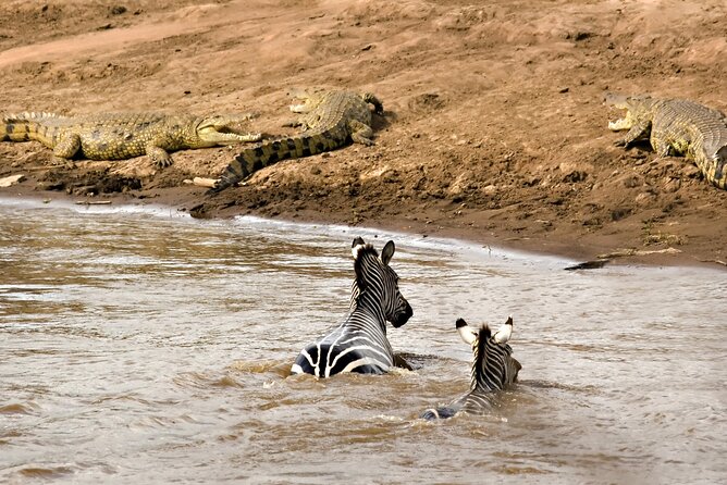 3 Days Safari Serengeti & Ngorongoro Crater - Group Size and Composition