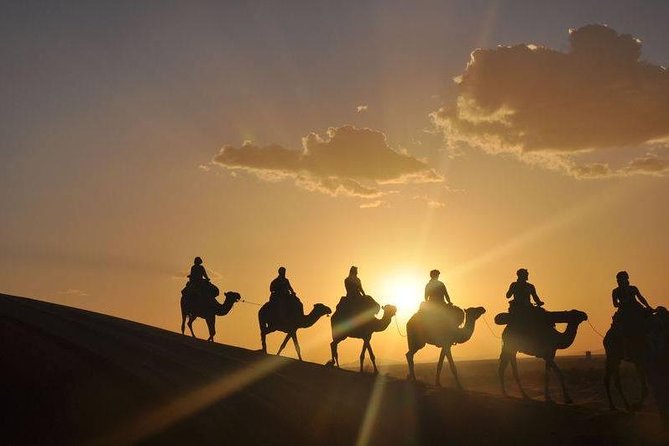 3 Days Safari To Chegaga From Marrakech - Transportation and Guides