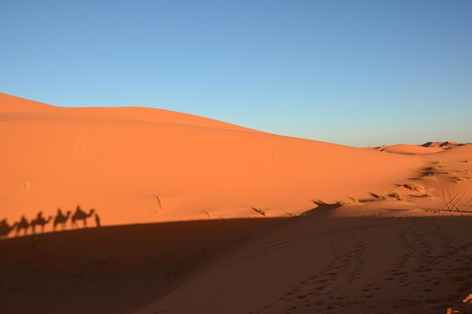 3 Days Safari To Merzouga From Marrakech - Additional Information