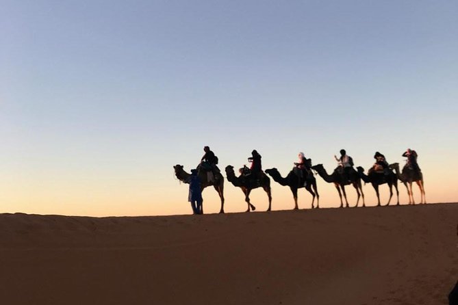 3 Days Safari To Merzouga From Marrakech - Highlights of the Safari