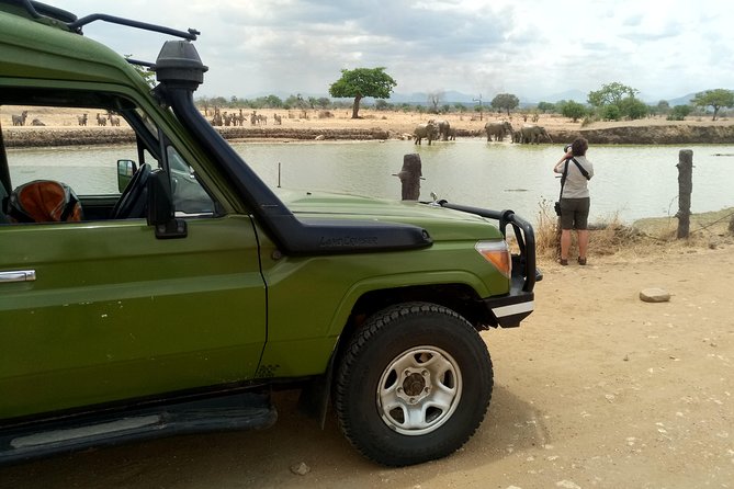 3 Days Safari to Mikumi NP - Accommodation Inside the Park - Packing Tips and Dress Code
