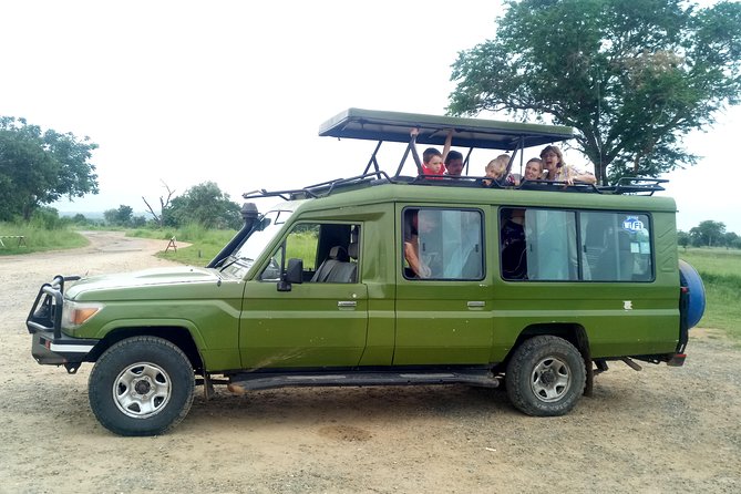 3 Days Safari to Mikumi NP - Accommodation Inside the Park - General Information and Policies