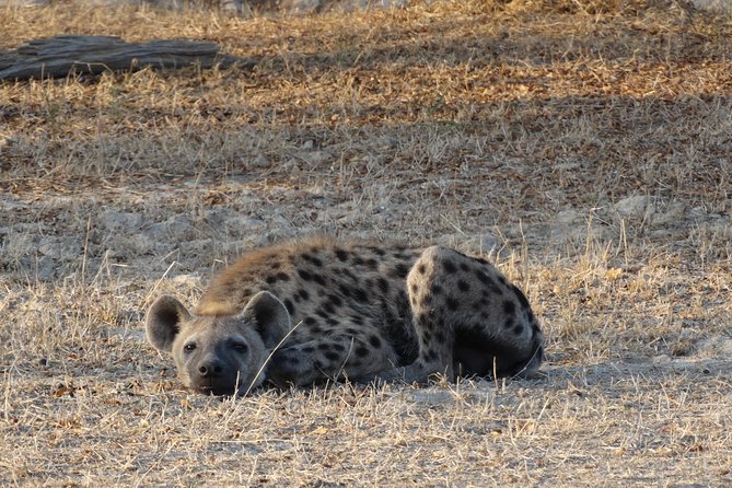 3 Days Safari to Nyerere National Park (Selous Game Reserve) - Important Information