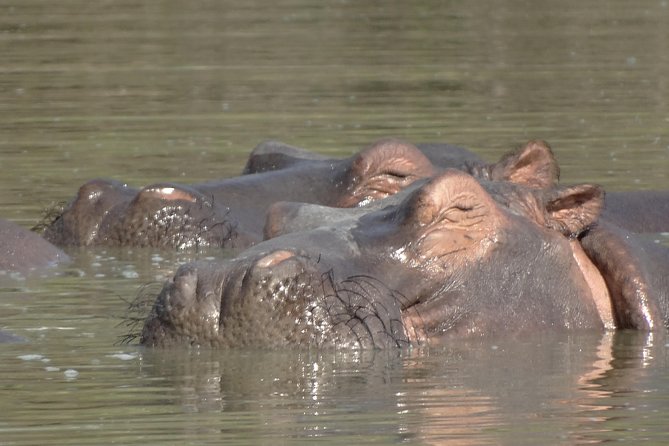 3 Days Safari to Nyerere National Park (Selous Game Reserve) - Reviews and Ratings