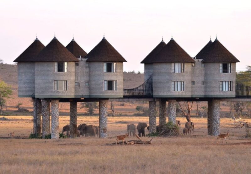 3 Days Safari to Saltlick Lodge From Nairobi - Highlights of the Safari Experience