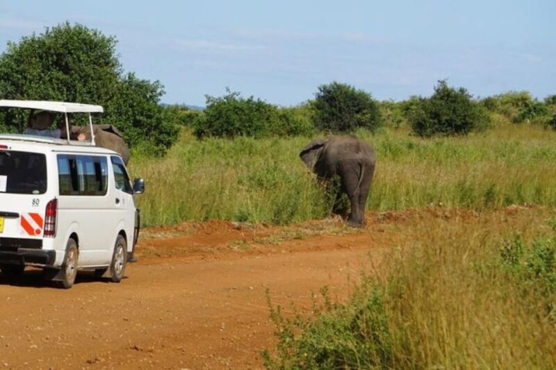 3 Days Safari to Saltlick Lodge From Nairobi - Inclusions and Amenities