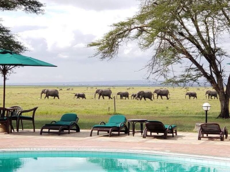 3 Days Safari to Saltlick Lodge From Nairobi - Day 2: Exploring Taita Hills