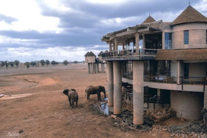 3 Days Safari to Saltlick Lodge From Nairobi - Day 3: Early Morning Game Drive