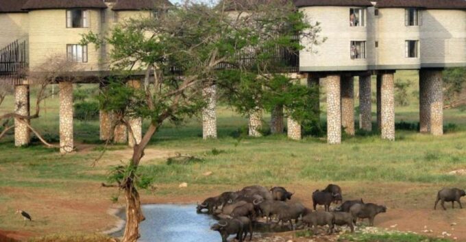 3 Days Safari to Saltlick Lodge From Nairobi - Booking and Reservation Details