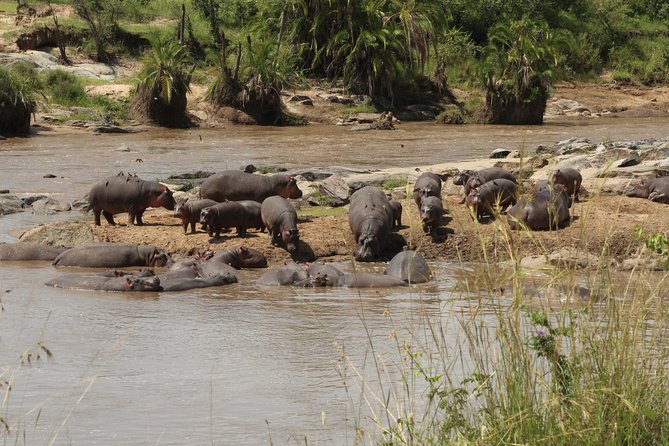3 Days Safari Tour in Lake Manyara and Ngorngoro - Meeting and Pickup Details