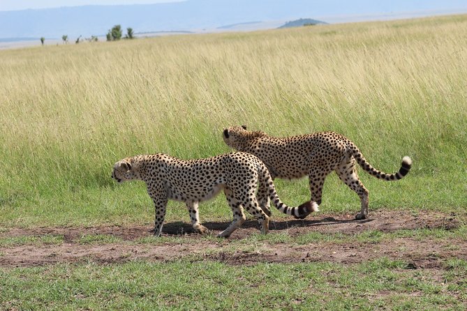 3 Days Safari Tour in Lake Manyara and Ngorngoro - Cancellation Policy