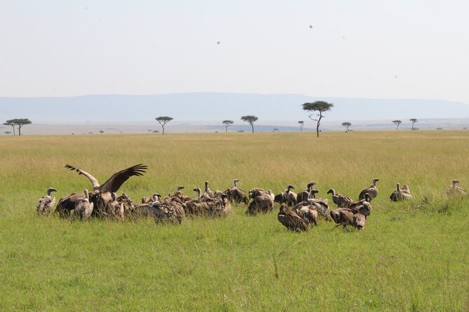 3 Days Safari Tour in Lake Manyara and Ngorngoro - Exploring Lake Manyara