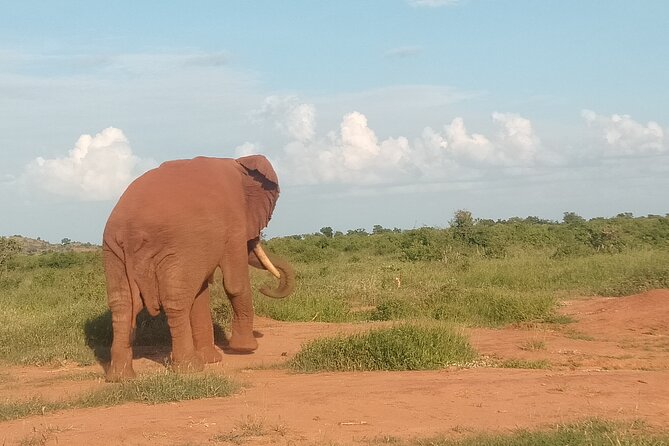 3 Days Safari Tsavo East and Amboseli National Park. - Booking Details