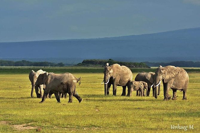 3 Days Safari Tsavo East and Amboseli National Park. - Mombasa Region Landscapes