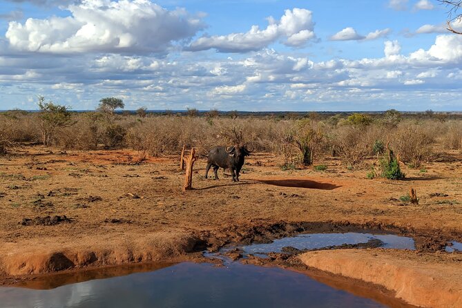 3 Days Safari Tsavo East and Taita Hills Saltlick Lodge - Cultural Immersion in Taita Hills