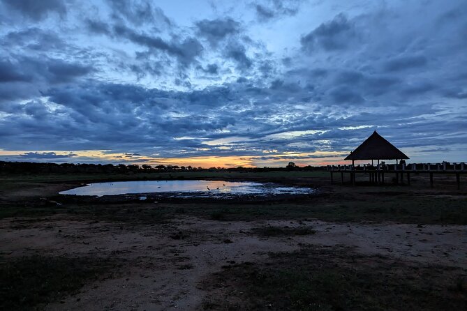 3 Days Safari Tsavo East and Taita Hills Saltlick Lodge - Transportation and Logistics