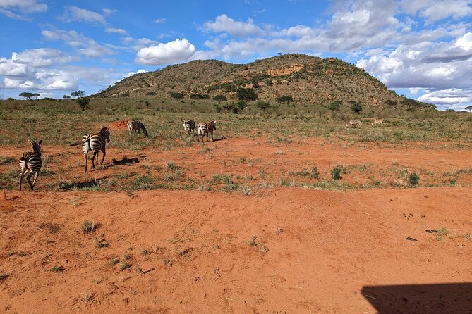 3 Days Safari Tsavo East and Taita Hills Saltlick Lodge - Traveler Reviews and Testimonials