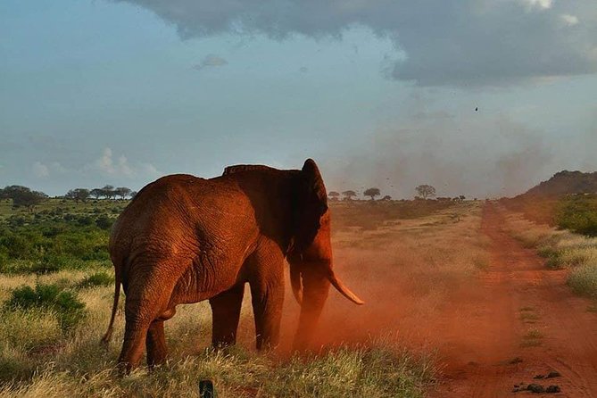 3 Days Safari Tsavo East and Taita Hills (Saltlick Lodge) - Cancellation and Refund Policy
