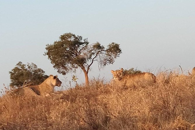 3 Days Safari Tsavo East and West - Daily Itinerary