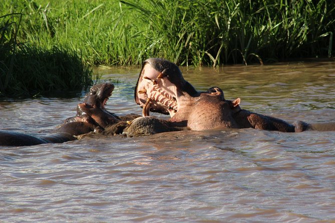 3 Days Safari Tsavo East and West - Included Amenities