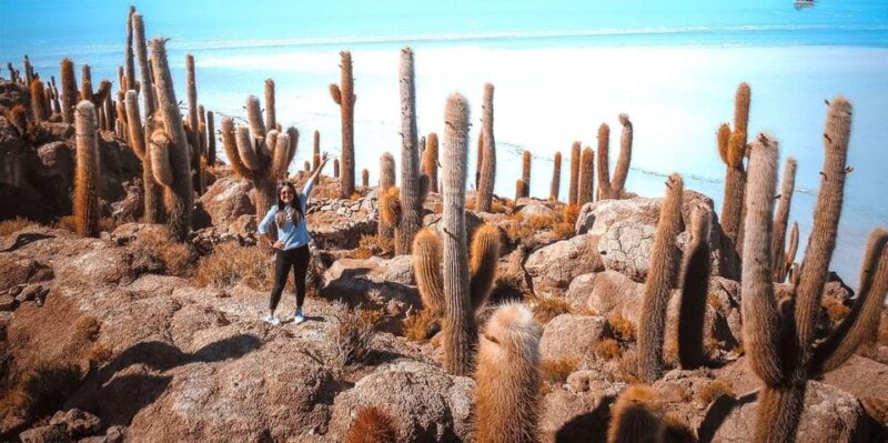 3 Days Salar De Uyuni With Luxury Camp in Bolivia - Luxury Accommodation